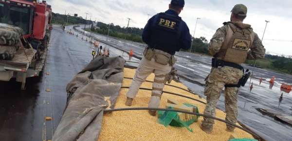 O prejuízo aos traficantes chega próximo dos R$ 4,5 milhões.(Foto: Divulgação/PRF)