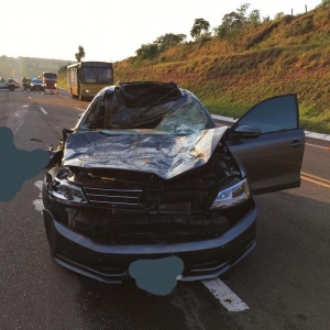 Carro atropelou homem sobre cavalo, na BR-458, no noroeste do Paraná — Foto: Divulgação/PRF  Veja os vídeos mais assistidos do G1