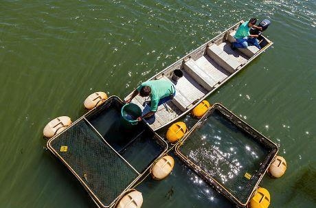 Foto: Rubens Fraulini - Itaipu Binacional