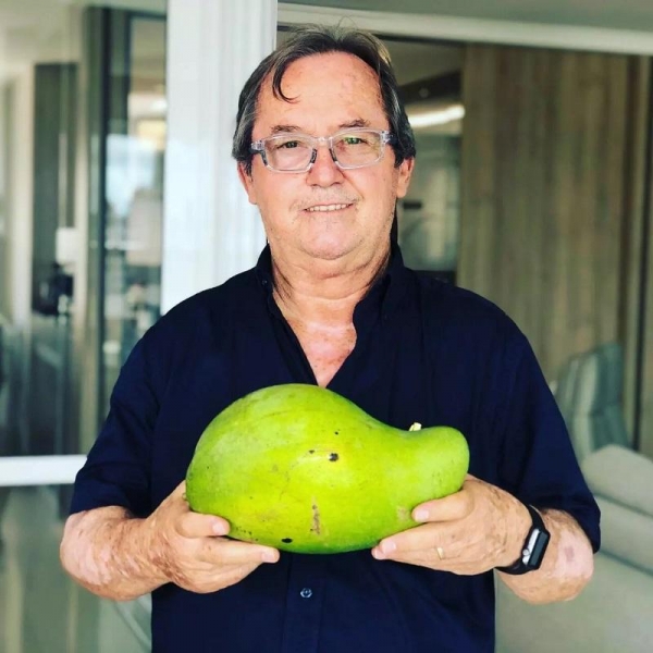 Mangas chegam a pesar 3,6 quilos e intrigam produtor rural de Maringá. Foto: Arquivo pessoal