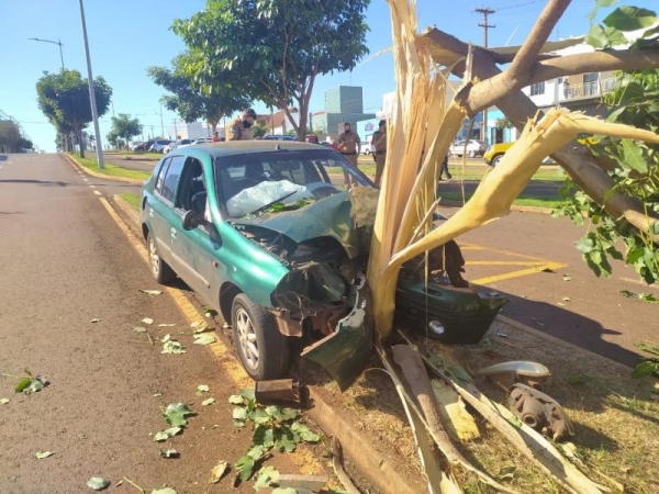  Foto: Adiel Soares - Toledo News