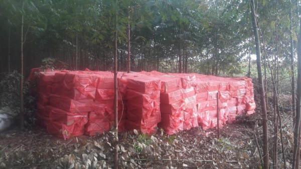 No local, ao abandono, foi apreendido aproximadamente 350 caixas de cigarros paraguaios. (Fotos: Polícia Federal)