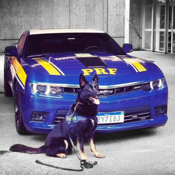 Foto: PRF/Divulgação