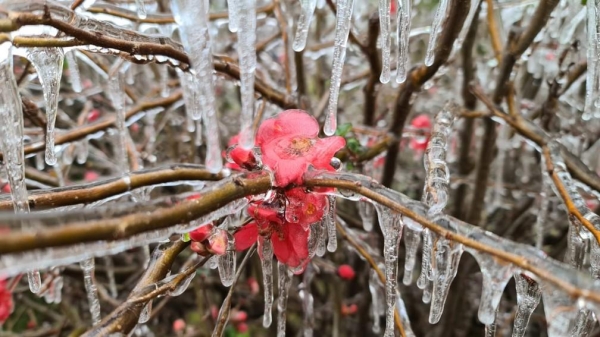 São Joaquim nesta terça-feira (29) — Foto: Mycchel Leganghi/São Joaquim Online