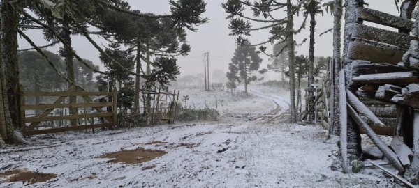  Foto: Mycchel Legnaghi/ Agência de notícias São Joaquim 
