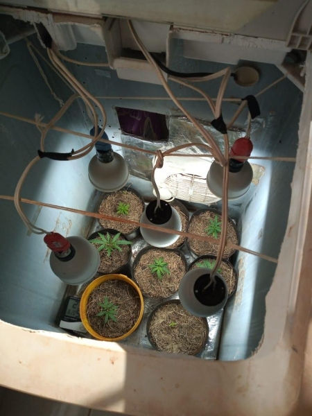 Fotos: Polícia Militar de Palotina