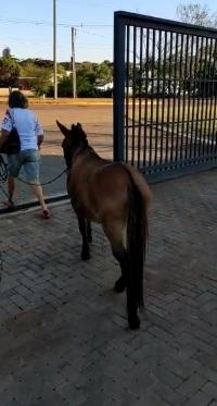 Fotos: Polícia Federal