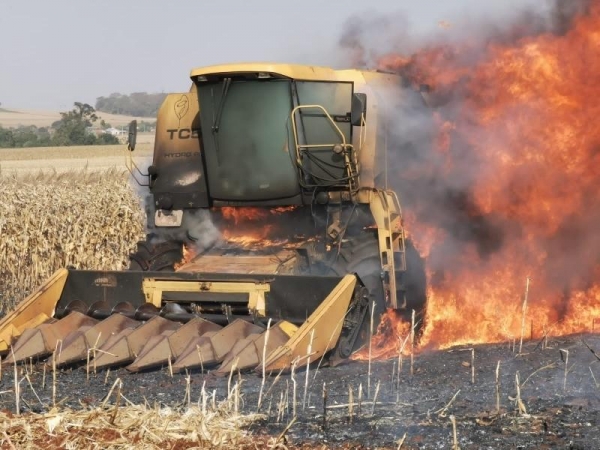 (Foto: Ponto da Notícia )