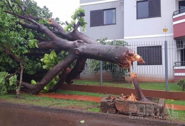 Foto: Portal Palotina