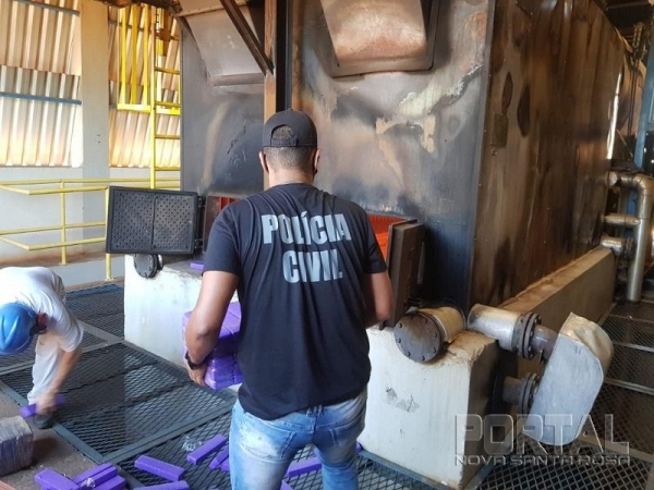 Foto: Portal Palotina