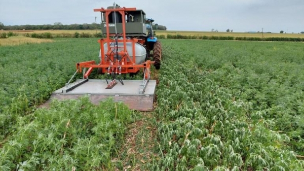 Teste do protótipo de máquina de capina a vapor na área experimental em Entre Rios do Oeste. Foto: Emerson Fey/Unioeste.