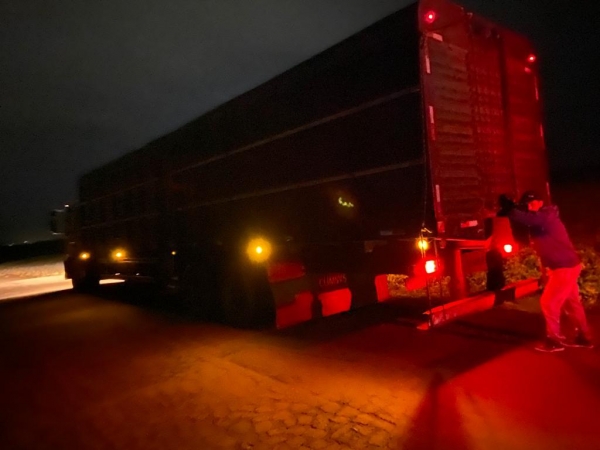 Foto: Polícia Federal