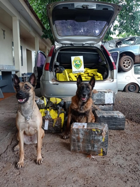 A droga foi pesado e somou 208 Kg. (Fotos: BPFron)