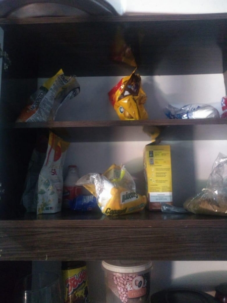 A família precisa de alimentos. (Fotos: Arquivo pessoal)