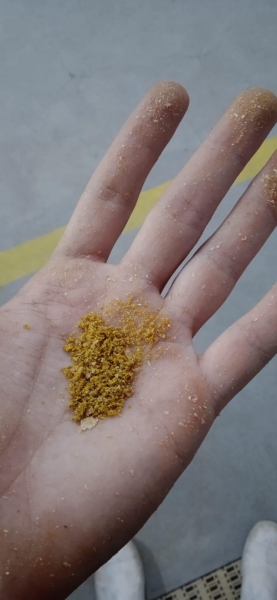 Fotos: Reprodução/Portal Palotina