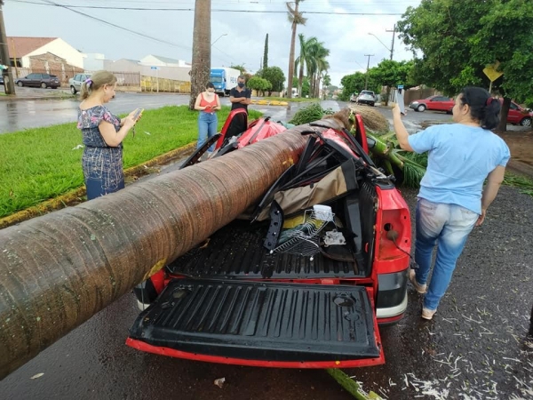 Fotos: Carlo Corujinha