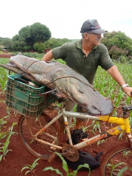 FOTO: Assessoria PM/ Guaíra