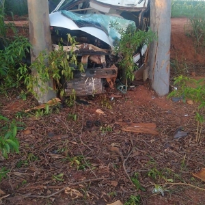 Foto: Portal Palotina