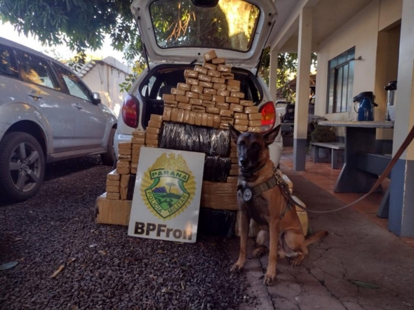 A droga somou mais de 200Kg. (Foto: BPfron/Divulgação)