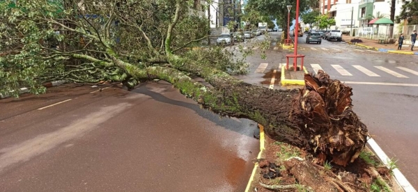 Fotos: Portal Nova Santa Rosa