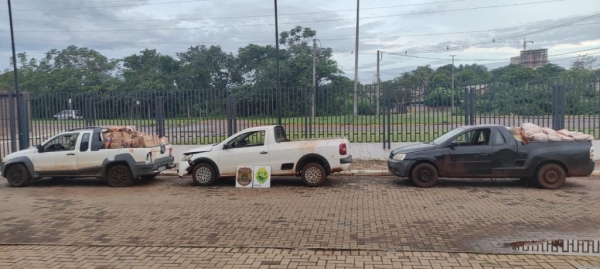 Fotos: Polícia Federal/Divulgação