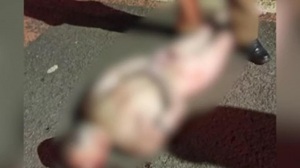 Foto: Reprodução/Catve