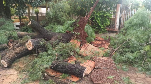 Fotos: Portal Nova Santa Rosa