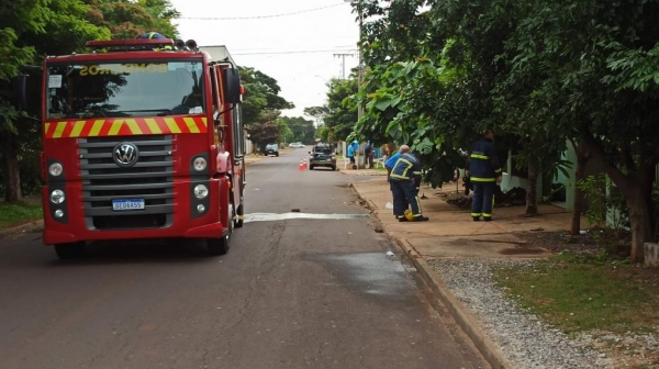 Fotos: Portal Nova Santa Rosa