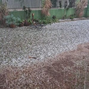 Fotos: Arquivo Pessoal