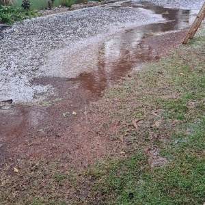  Linha Arapongas. Fotos: Arquivo Pessoal