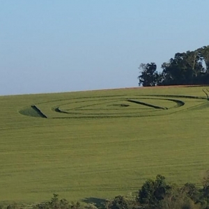 magem circulou nas rede sociais nesta terça-feira (4) — Foto: Reprodução/Redes Sociais