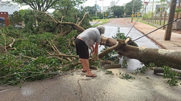 Fotos: Portal Nova Santa Rosa