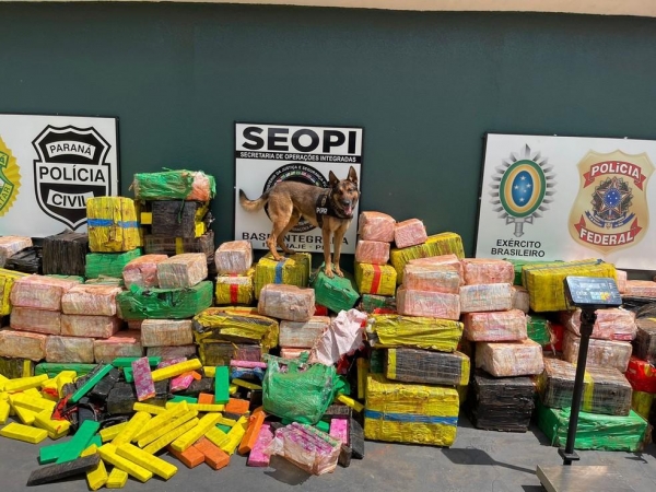 Polícia Civil apreende maconha em Santo Inácio — Foto: Reprodução/Polícia Civil