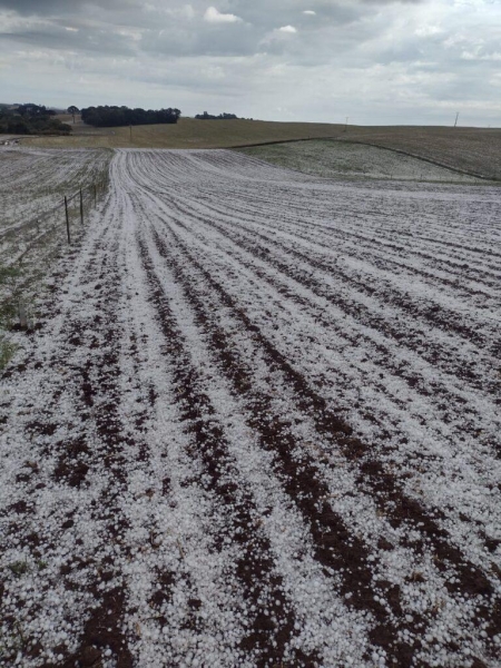 Fotos: Diário do Sudoeste