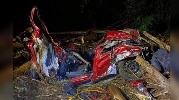 Fotos: Divulgação