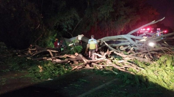 Fotos: Divulgação.