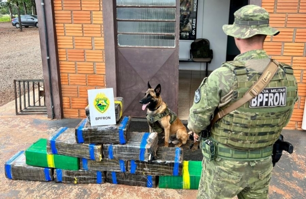 Foto: Operação Hórus/BPFron
