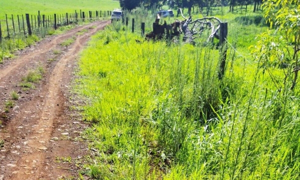 Vítima teve corpo esmagado durante a fuga de suspeito — Foto: Polícia Civil/Divulgação
