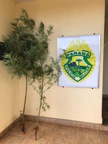 Fotos: Portal Nova Santa Rosa.