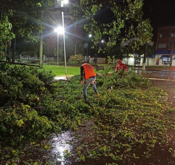 Fotos: Portal Palotina