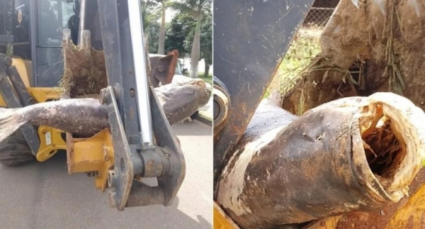 Foto: Reprodução/Prefeitura