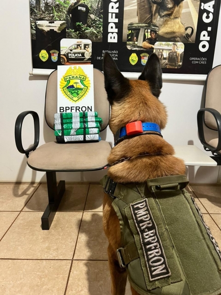 Droga apreendida. Foto: BPFron