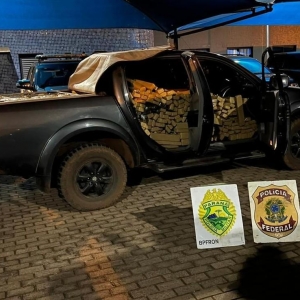 Carro com registro de furto também foi apreendido na ocorrência — Foto: BPFron/PR