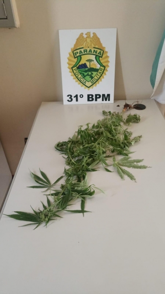 Foto: Polícia Militar de Maripá/Divulgação.