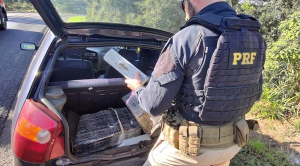 Foto: PRF/Divulgação.