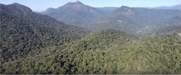 Imagens de helicóptero das buscas pelo avião . Foto: Banda B/Reprodução.