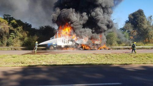 Fotos: Reprodução.