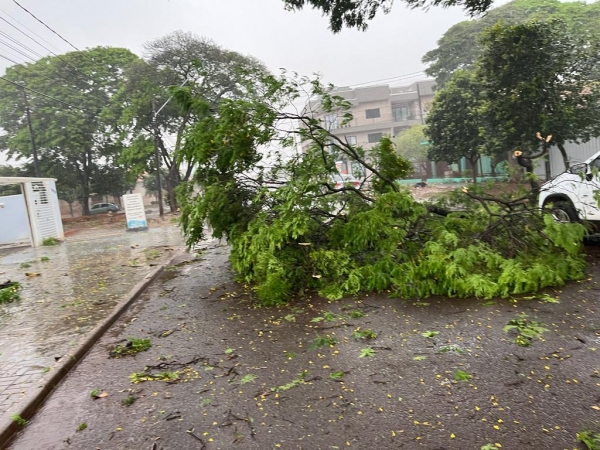 Fotos: Portal Nova Santa Rosa/Colaborador