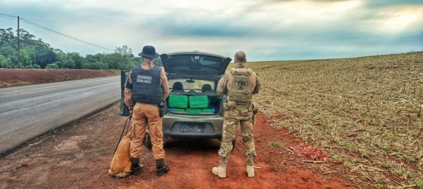 Fotos: Portal Nova Santa Rosa