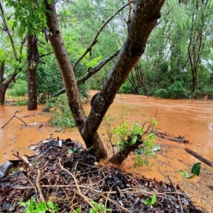 São Miguel do Iguaçu. Foto: SMI